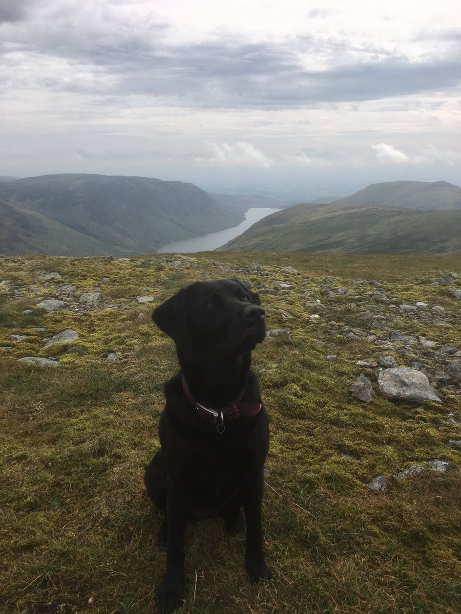 missjgardiner's tweet photo. First week in my new role @woodburnps and bagged my first Munro ⛰ #weekoffirsts #newadventures #newchallenges https://t.co/voAEZ6N1Y6