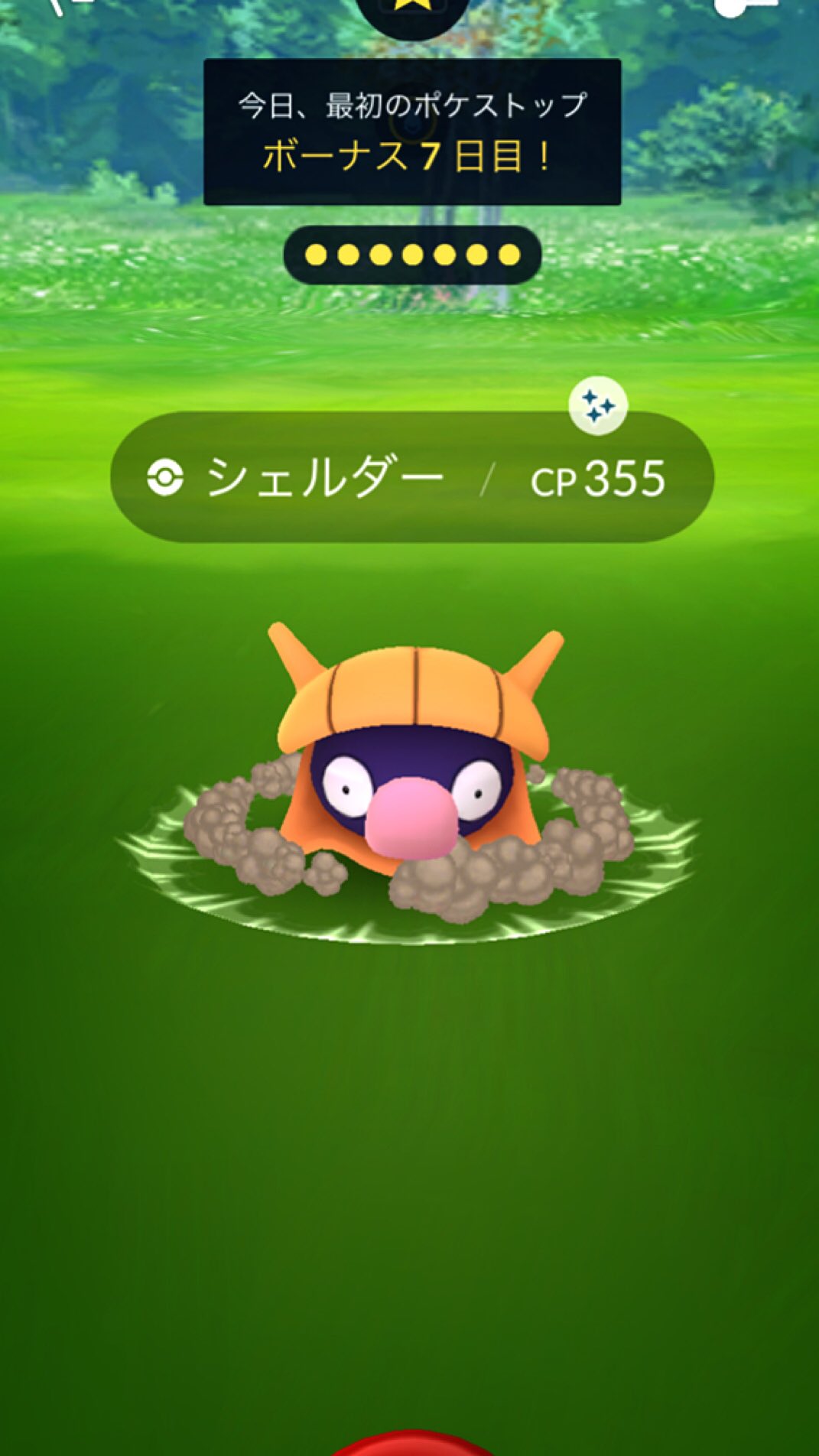 色違いシェルダー Twitter Search Twitter