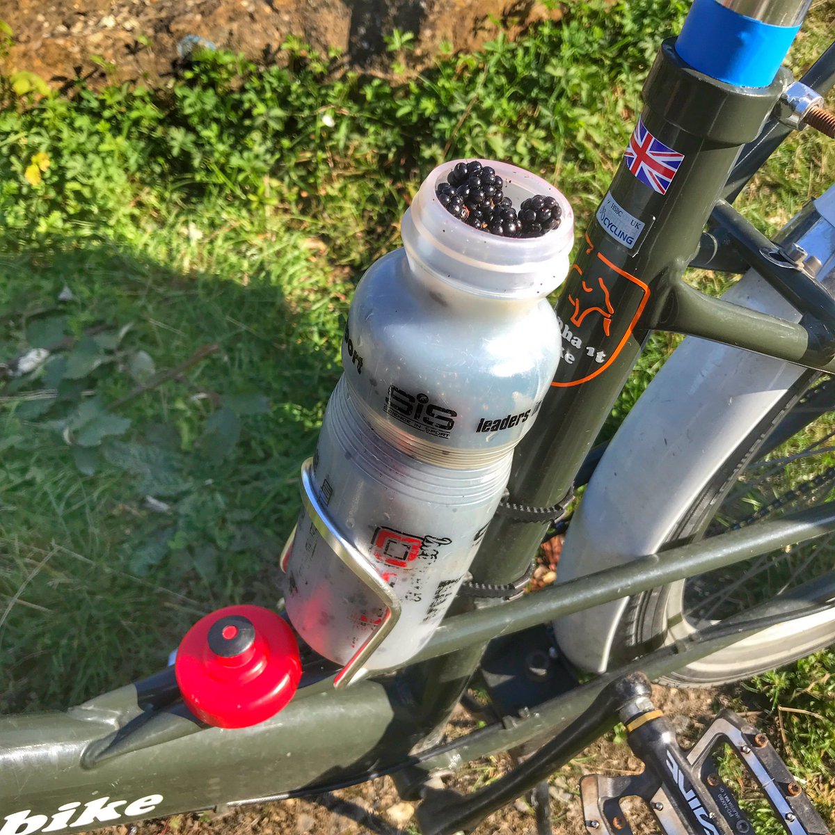 cycle365project's tweet image. Loaded with a conveyor belt full of shopping, swim kit bag, picked blackberries in the water bottle, swim trunks drying off front of basket &amp;amp; a cactus; has to be @ElephantBikeUK #likenoother #workhorse #ecowarrior