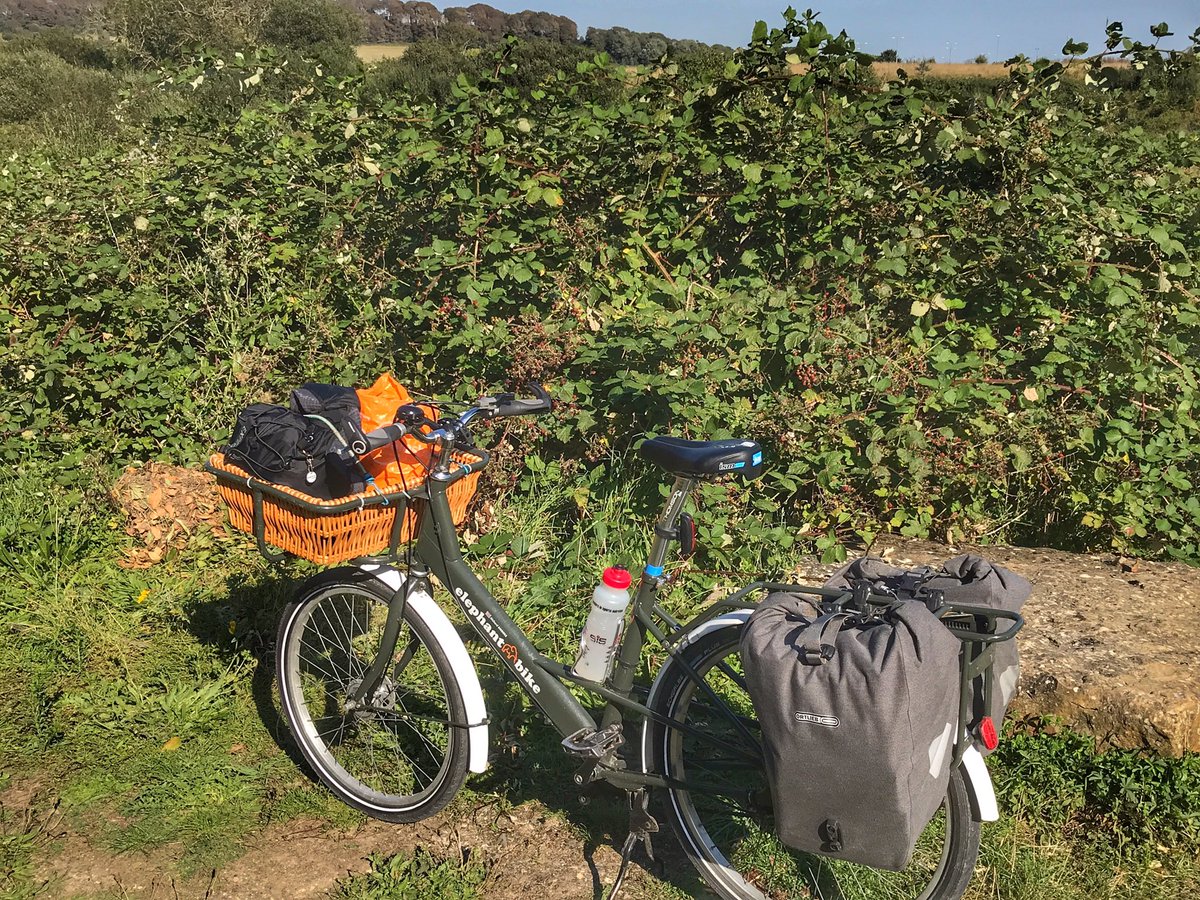 cycle365project's tweet image. Loaded with a conveyor belt full of shopping, swim kit bag, picked blackberries in the water bottle, swim trunks drying off front of basket &amp;amp; a cactus; has to be @ElephantBikeUK #likenoother #workhorse #ecowarrior