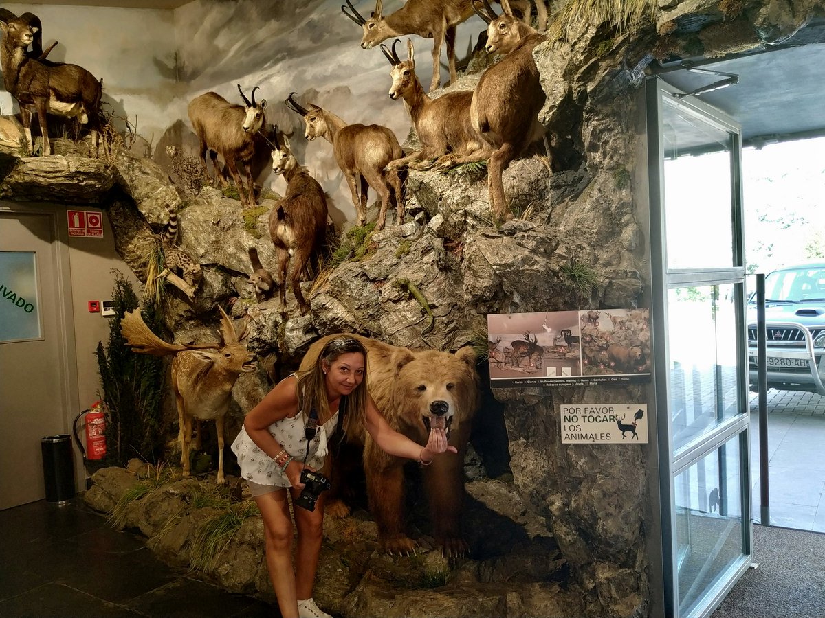 Museo de la Fauna Salvaje
#Valdehuesa #boñar 
<a href="/Esquinas_Leon/">Esquinas León</a> @CyLesVida <a href="/turisleonesp/">Turis León</a> @museoscastyleon
