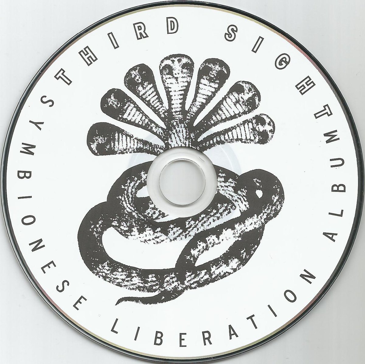 Personal note: the SLA case is one that interests me a lot. I first heard about it via Third Sight’s Symbionese Liberation Album (2006). I had no idea what it really was, but superficially it sounded “revolutionary” and cool (robbing banks and feeding the poor…). I was a dupe.