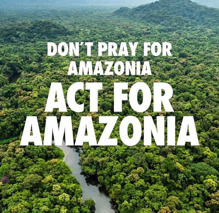 joshdallasource's tweet photo. #AmazonRainforest #HelpTheAmazon #AmazonFires #Amazon 
📷: JoshDallas on Instagram https://t.co/4QJklOV4KC