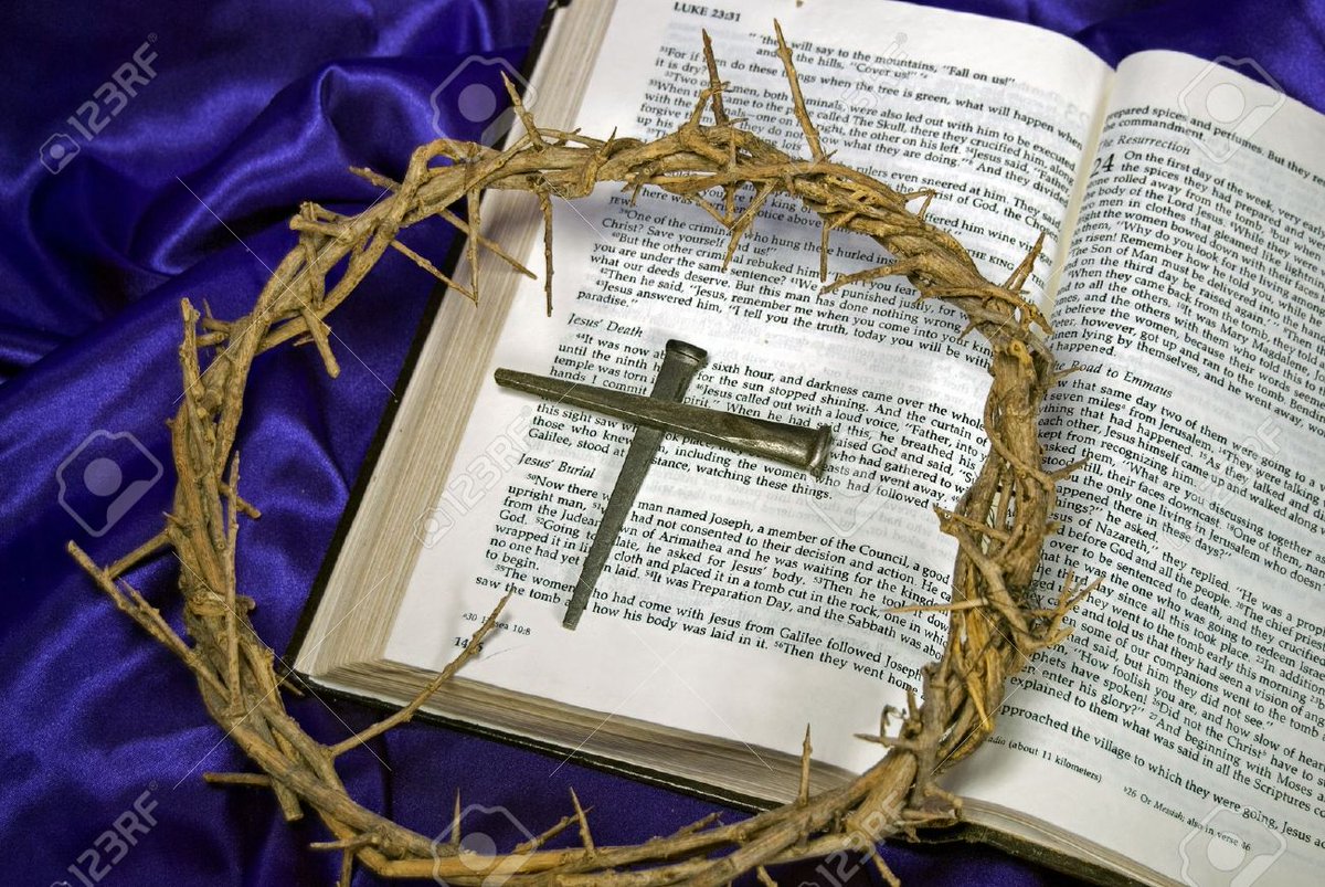 Courtney93HallK's tweet photo. Tranquila y Bendecida Noche mi Querida🌙💫🙏😇😘Veronica😘y toda tu familia @vrocastroficial FR🙏❤🙏Santa Maria,Madre de Jesus contigo acompana en tu vida y te proteja y guarde y ILumina tu dulce saludable dormir💭cada minuto💭en el nombre del Jesus!Ave Maria!DNBS🙏❤🙏mucha paz https://t.co/6kiFjyirns
