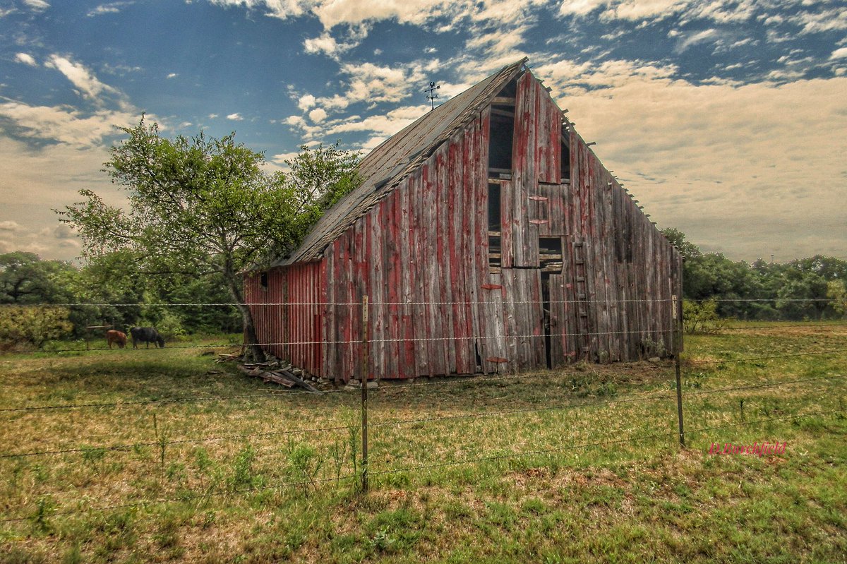Sargkc's tweet photo. Went to Alvoid Tx via LBJ Grasslands found this old barn owner came while photographing it said it was built abt 1890's
#myphotos edit #snapseed #backroadsoftexas https://t.co/s2Riu1xHmC