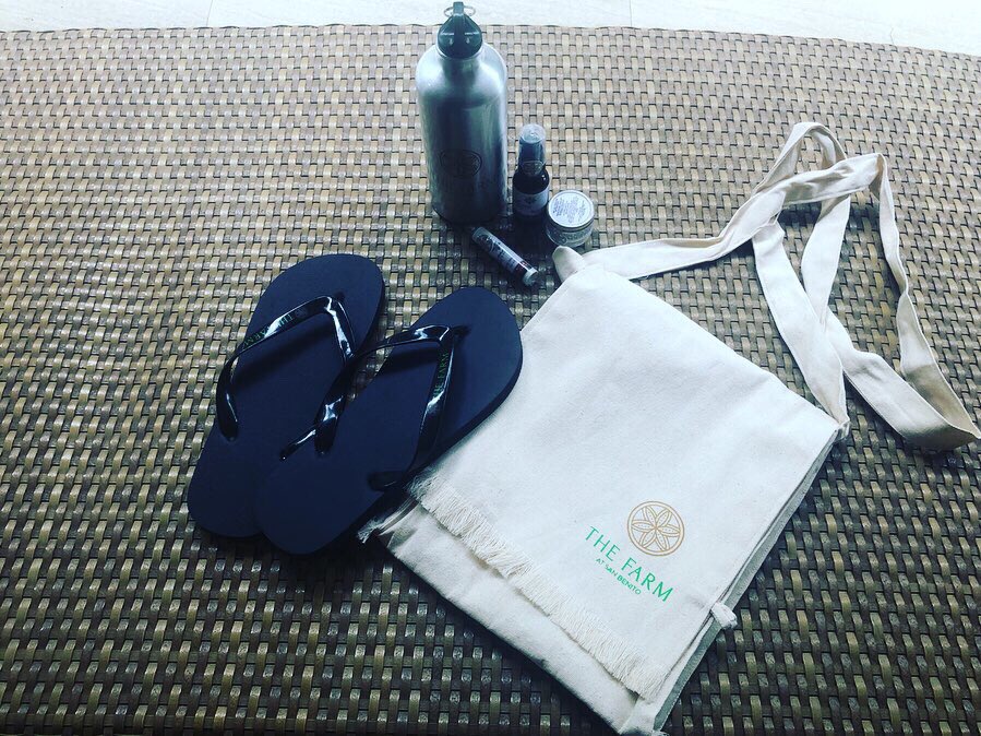 rikaemake's tweet photo. The Farm at San Benito🌴のDetox courseに行って来たよ🧘‍♀️ ほかのスパと一線を画す大きなポイントは、総合メディカルサービスが受けられるところ。

医師が個人カウンセリング→血液検査→尿検査→身体測定を行い、状況に合わせて滞在期間中……
https://t.co/Y1VwJ4UH6g https://t.co/MfI8ArGHTR