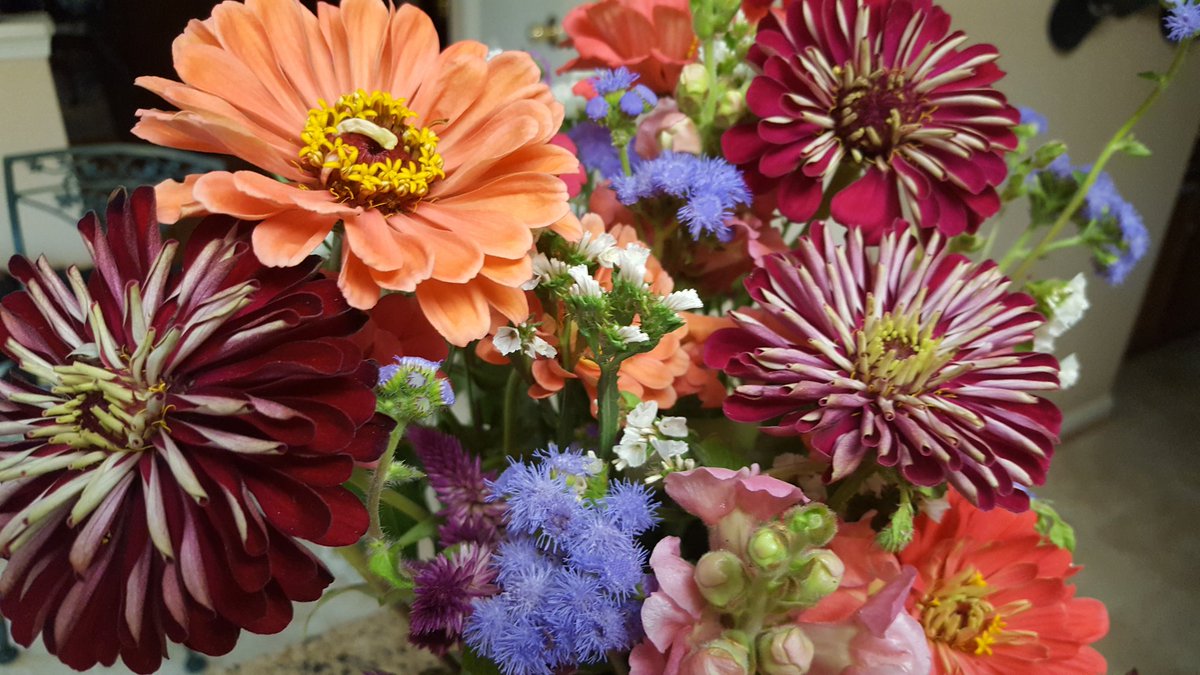 Everlastscribe's tweet image. Also bought some farm field flowers and worked on my nieces back to school gifts!  #notgoingdownwithoutafight