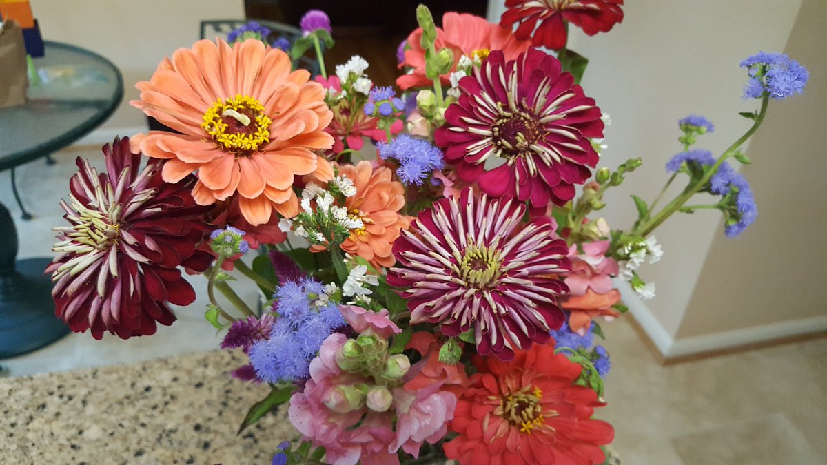 Everlastscribe's tweet image. Also bought some farm field flowers and worked on my nieces back to school gifts!  #notgoingdownwithoutafight