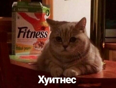 Рык Оленя tweet media