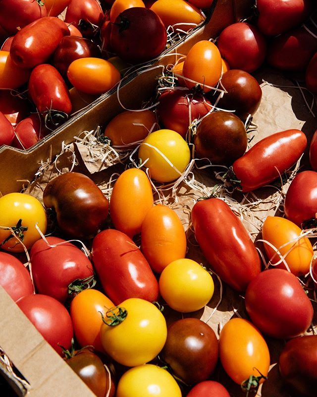 📷 shopping in the marchè in Brittany, France.
