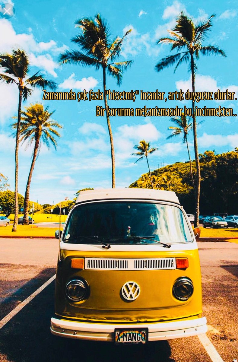 Zamanında çok fazla "hissetmiş" insanlar, artık duygusuz olurlar. Bir korunma mekanizmasıdır bu, incinmekten..