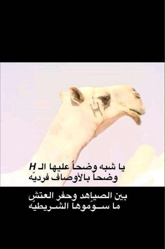 badah5001 tweet picture