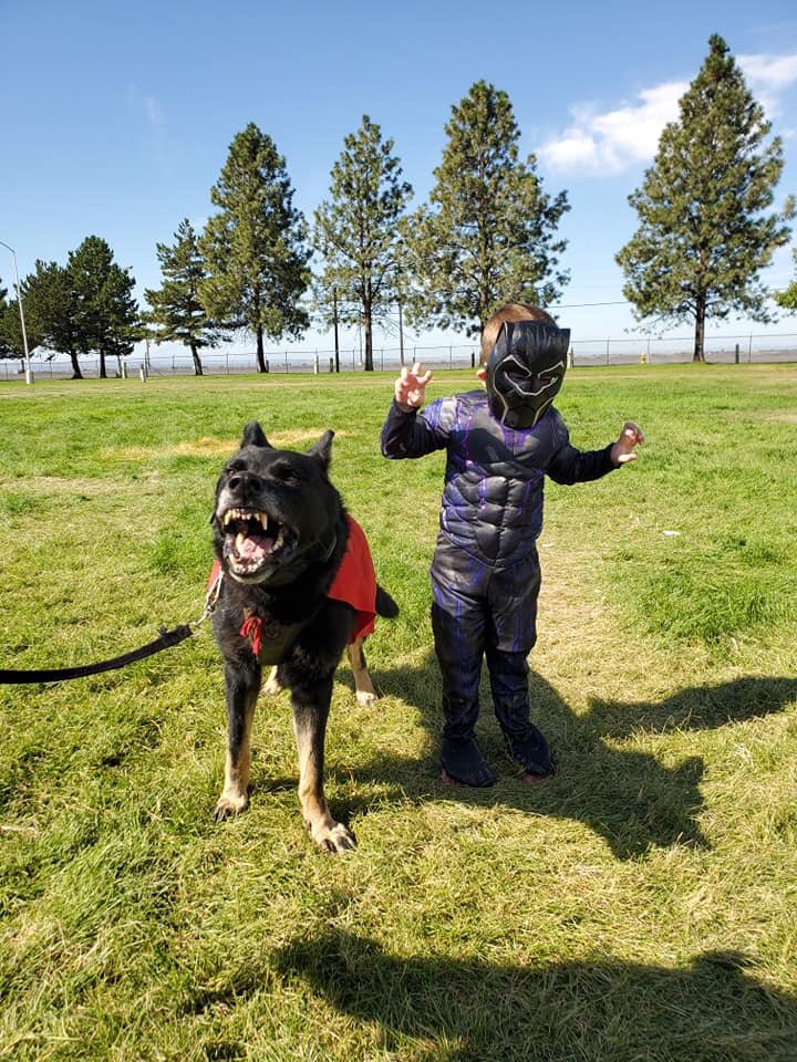 K9Hawk16's tweet photo. K9 Grizzly and the "Black Panther" are looking forward to the Superhero Fun Run & Festival October 5th. Hope you'll join us!
#funRun #SuperHeroRun #grizzlyRun? #scary #gcsoK9 #teamGrizzly #hashtagFire
#straightFire #dave&Grizz #Grizzly https://t.co/BSxYGgQbQT