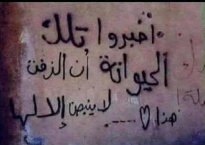 يحبها بس عصبي الكلب 🤣👊