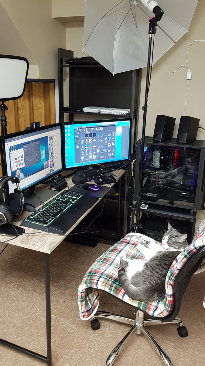 HyperMythTV's tweet photo. Does anyone have this problem, get up make a cup of coffee and your cat takes over #BelieveTheHype #RiseUp #Cats #Caturday #CatThief #mixershare #mixersupport #catsofmixer #kitty #sleepycat #tabbycat #hyperality https://t.co/DukJNjiOVx