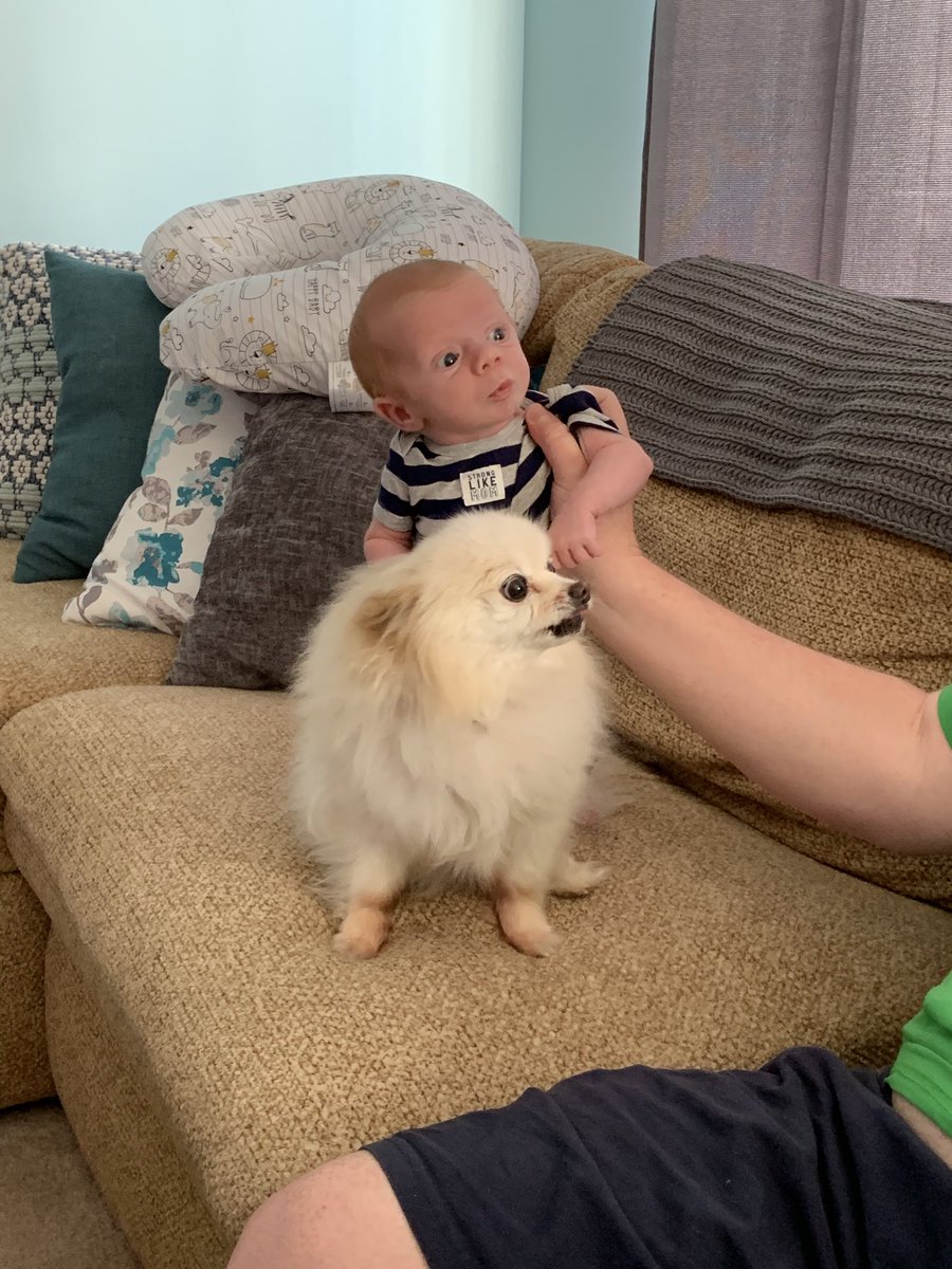 rwg002's tweet image. #tothehouse #gogators all the way from Maryland baby Vaughn