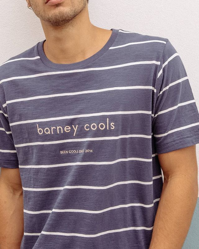 barney cools striped tee
