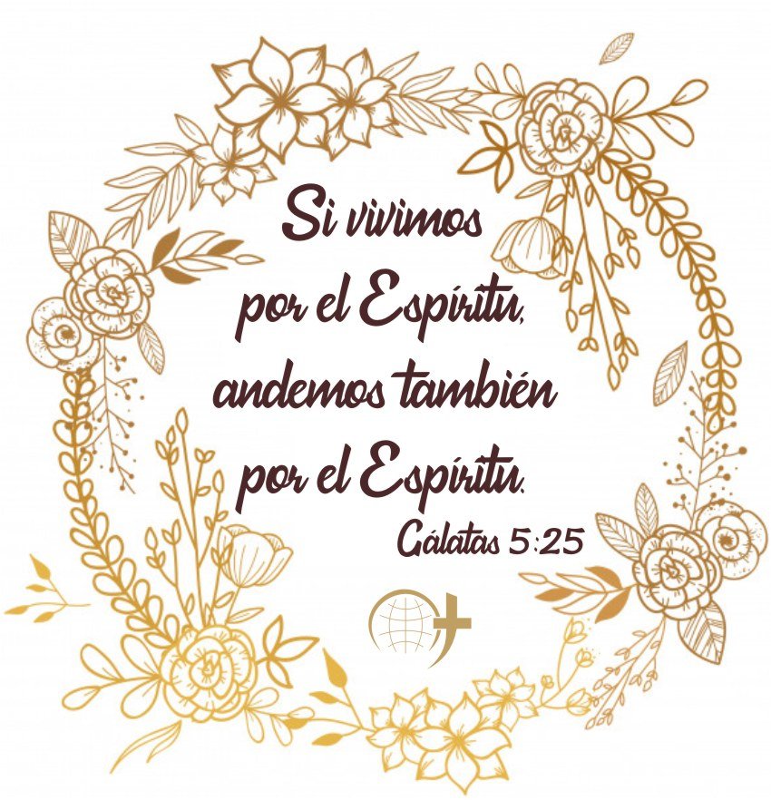 PIBHFortPayne's tweet photo. Desde el momento en que recibimos a Cristo, vivimos en el Espíritu, Él siempre está con nosotros, para guiar nuestros 
pasos, para dar testimonio a nuestro espíritu y nos hace saber que pertenecemos a Dios. #EspírituSanto #NuestroGuía #NosCorrige #NosConfronta #NosConsuela https://t.co/TZZVGQiu9B