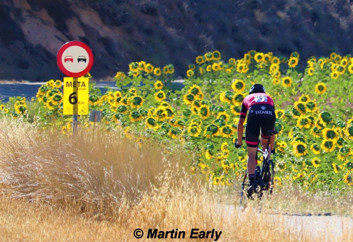 martin__early's tweet photo. Galería fotos etapa 3 CRI #VueltaRibera @VueltaRibera 24-8-2019 Hontoria de Valdearados - Peñaranda de Duero
1️⃣ @_rccarlos @FundContaTeam
2️⃣ Casper van Uden #Acrog
3️⃣ @raulgarciapiern
@FundContaTeam
📸👉 https://t.co/EKrBPhniKc https://t.co/p2V2u2UMke