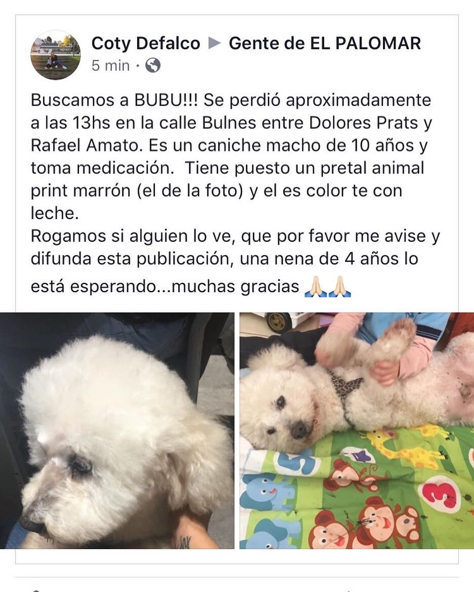 Caro Lopez♡ tweet media