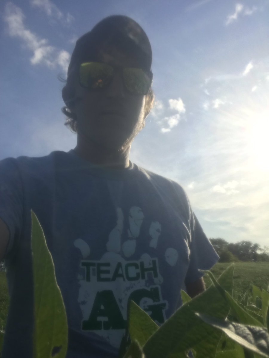 We’ve got beans almost up to my armpits here. #mnag #plantbecks