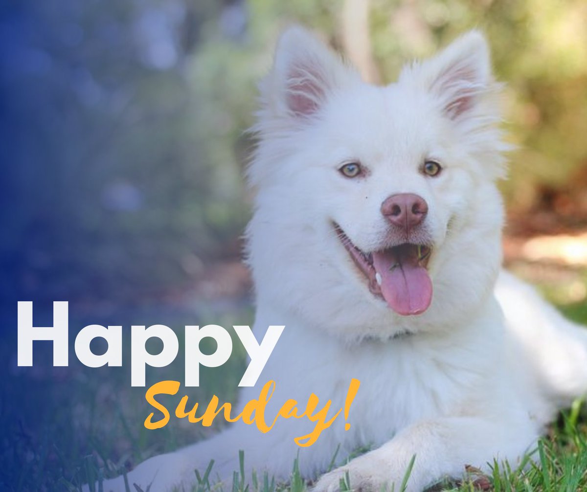 oxypuredavao's tweet image. Happy Sunday!Relax and enjoy your day! 😍
#sunday #oxypuredavao