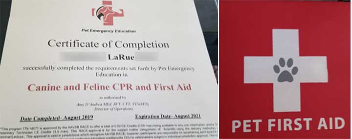 officially certified in Dog / Cat Emergency First Aid & CPR 
#PetFirstAid #AnimalFirstAid #AnimalRescue