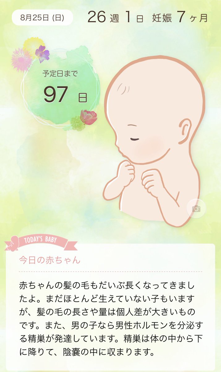 おいちゃんᐠ ᑒ ᐟ1歳 در توییتر 26週目 妊娠7ヶ月 妊婦 26w 気づいたら 100日切ってました Ww お腹の中に35センチくらいの人が入ってるかもしれないの驚きますね そら腹も出てくるか 胎動でお腹ボコボコしててしゃっくりついた気分になるのがちょっと