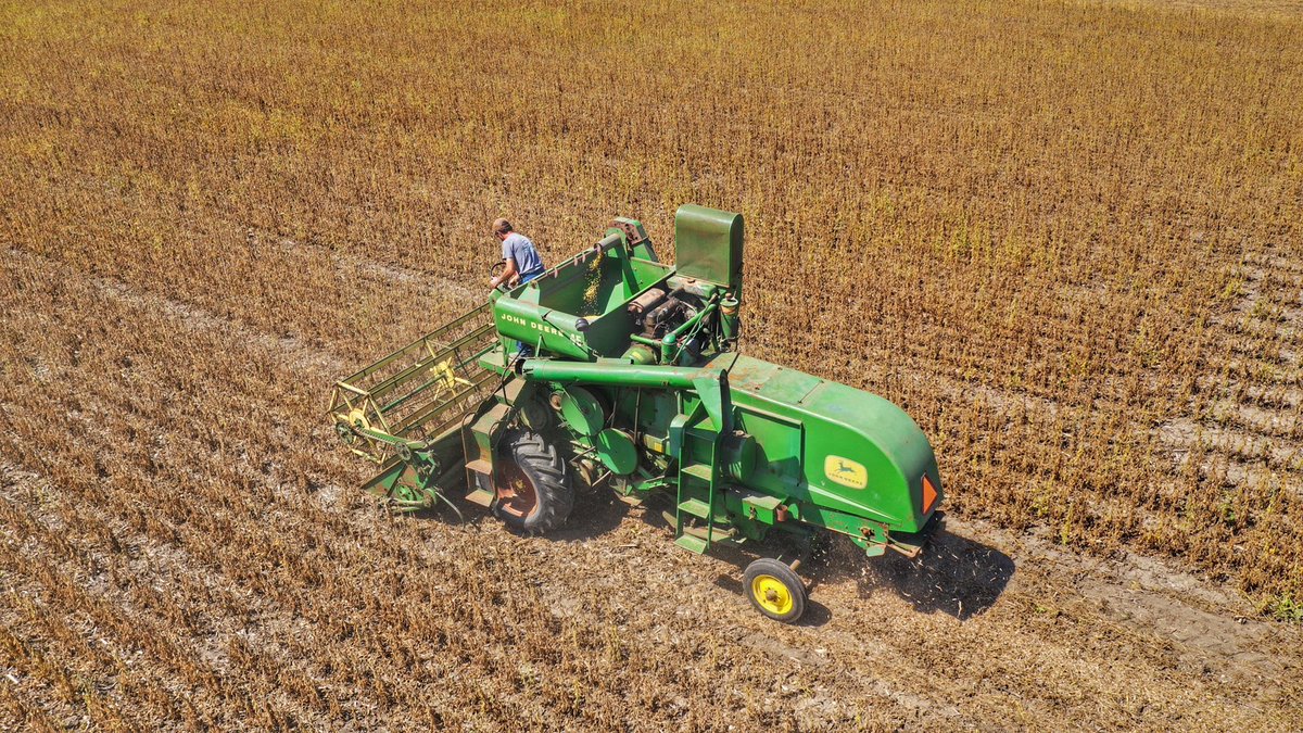 TheChadColby's tweet photo. Wow, little before my time.... @JohnDeere 45 combine in action at @halfcenturyshow in #RantoulIL today.  #History #OldSchool @ILSoybean @ASA_Soybeans @UnitedSoy @csdigest @agbizweek @maxarmstrong @machinefinder https://t.co/3kss8j74vI