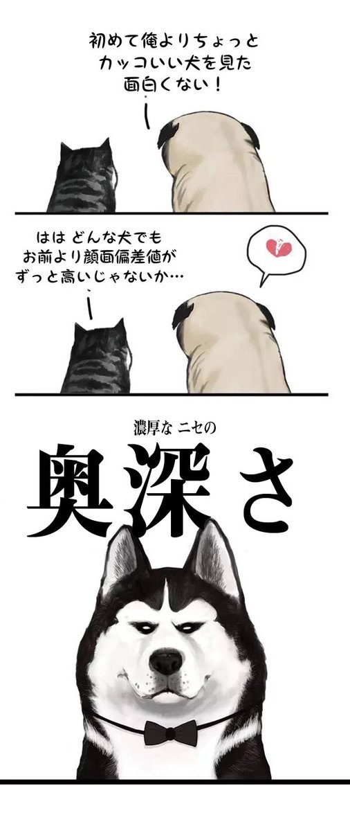 新しい仲間エドワード・牛能は吾皇とバザヘイと、うまくやって行けるのでしょう?
それでは、『吾が家の猫皇帝』の第15話をご覧ください!
@wuhuangwanshui
#吾が家の猫皇帝
#犬の思考回路は猫と違う
#吾皇の動きは風の如く 