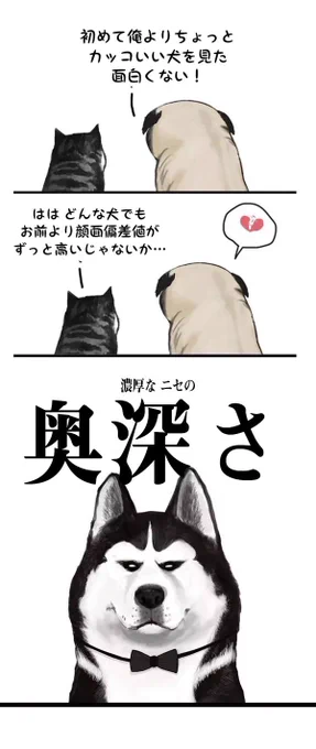 新しい仲間エドワード・牛能は吾皇とバザヘイと、うまくやって行けるのでしょう?
それでは、『吾が家の猫皇帝』の第15話をご覧ください!
@wuhuangwanshui
#吾が家の猫皇帝
#犬の思考回路は猫と違う
#吾皇の動きは風の如く 