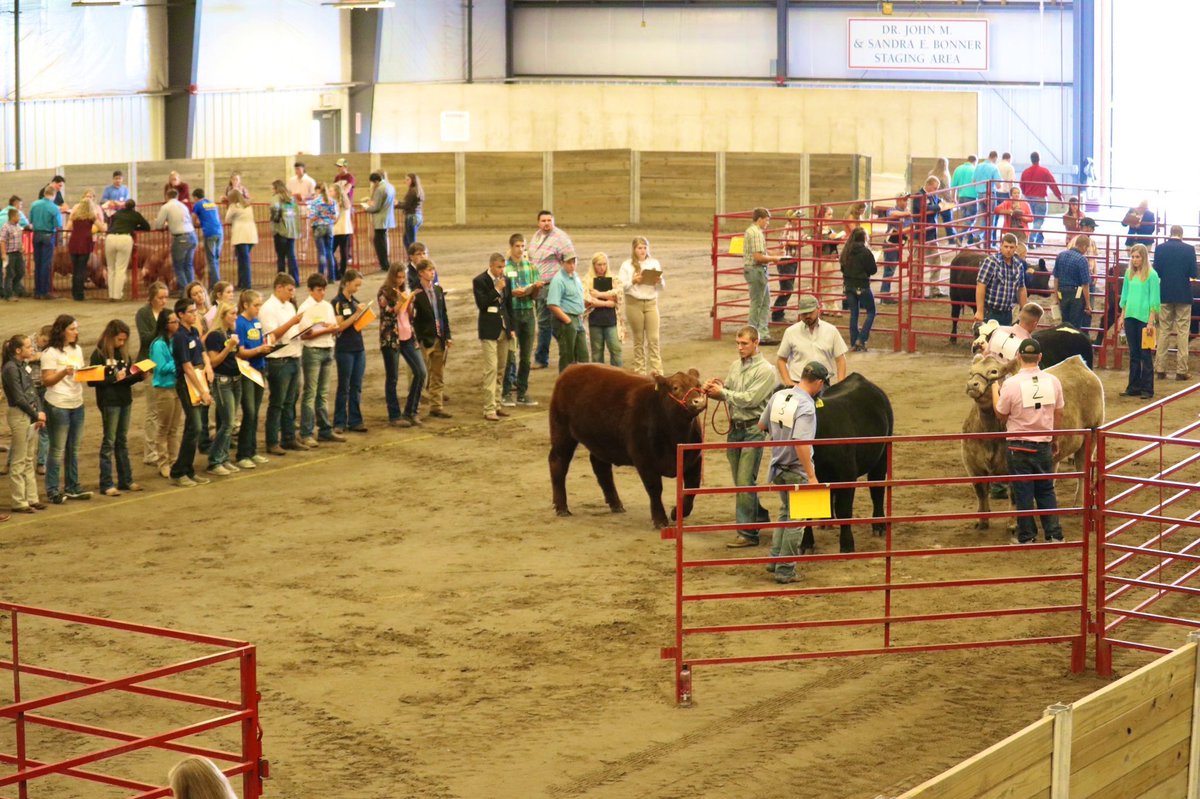 Shoutout to <a href="/laur_erickson_/">Lauren</a> and Kallie Nilles for participating in the Livestock CDE today! These girls did a great job for their first time at this CDE and will be able to use what they learned today to help them in more events this year! #WildcatPride #FFA