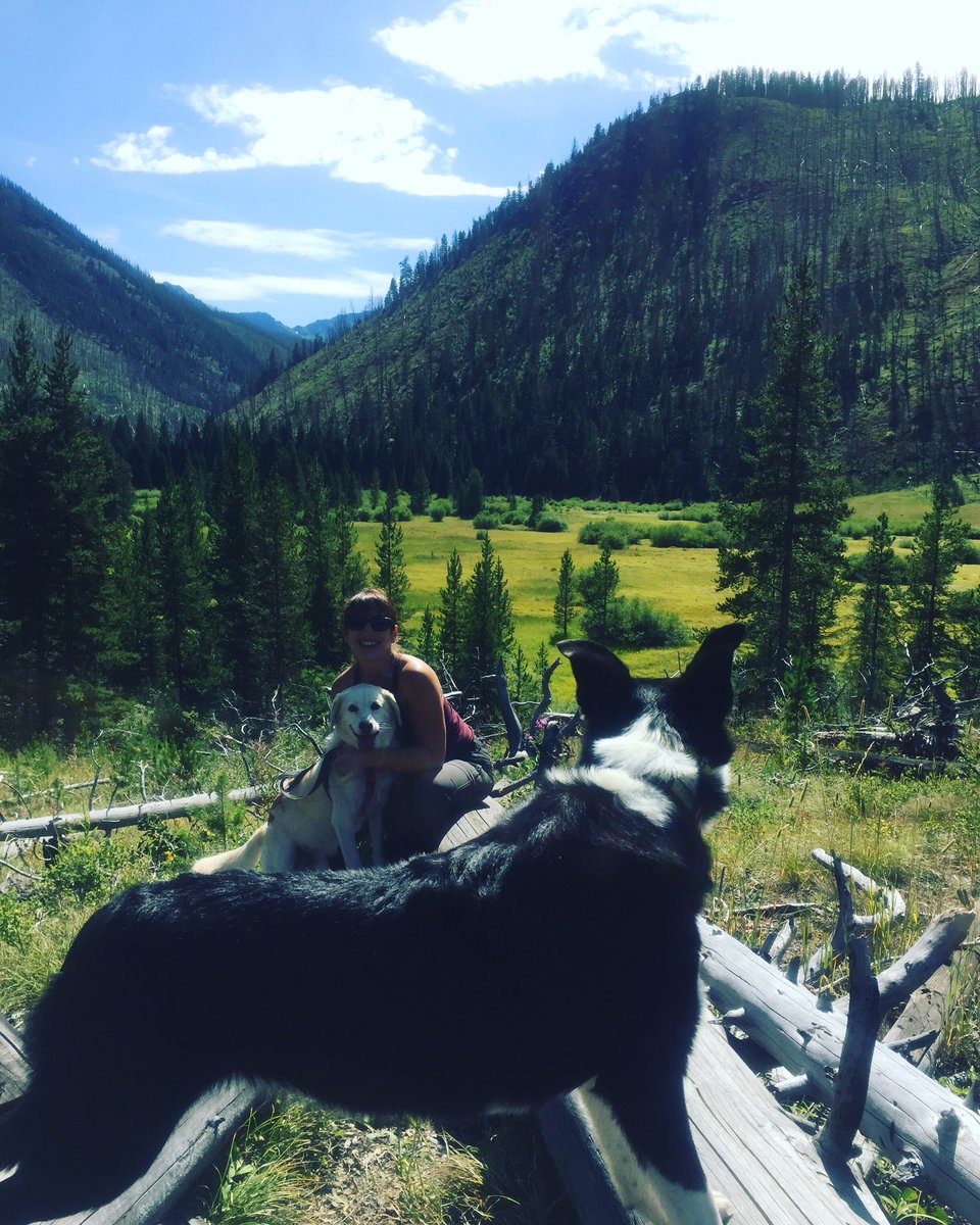 That time when Marley photobombed me and my person.  #photobomb #dogphotobomb #marleyandme #paradisevalley #montanagram #dogstagram #adoptdontshop #dogsoftwitter