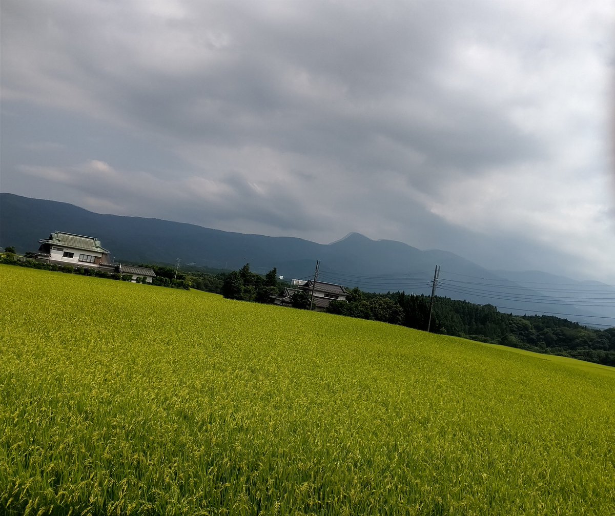 Stalemate_road's tweet photo. 東京～京都 over500㎞ライド Day1/4
装備が重すぎてヒルクライムが死にそう https://t.co/twfe2khCyl