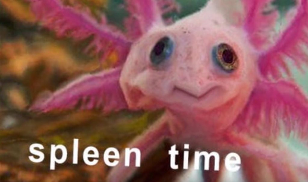 ‍ ‍ ‍ ‍ ⌇ ( semi h ) (@aoakma) on Twitter photo 