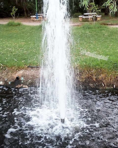 AmelOfficiallll's tweet photo. #nature
#water
#waterfull
#algerie
#photographe

#Algeria #algeria🇩🇿 #fashion #dzair #videosport #followforfollowback #me #likeforfollow #sport #dz #الجزائر #videos #video #followme
#mohamed #beautiful #handsome #cool #follow #photography #love
#actress  # https://t.co/EFdBo3TsW4