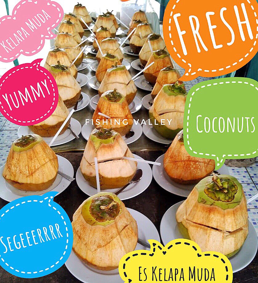 FishingValley's tweet photo. Coconuts anyone ? :) #FISHINGVALLEY #FishingValleyBogor #eskelapamuda #kelapamuda #eskelapa #kelapabatok #coconut #youngcoconut #freshcoconut https://t.co/PbYz8ckn7a