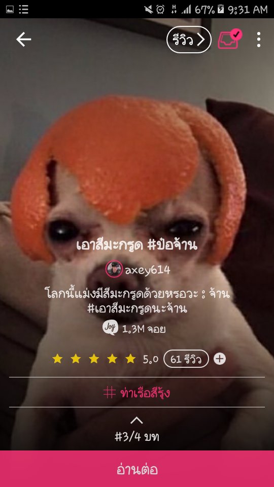 กอแอ้มจาบู้🎀 tweet media