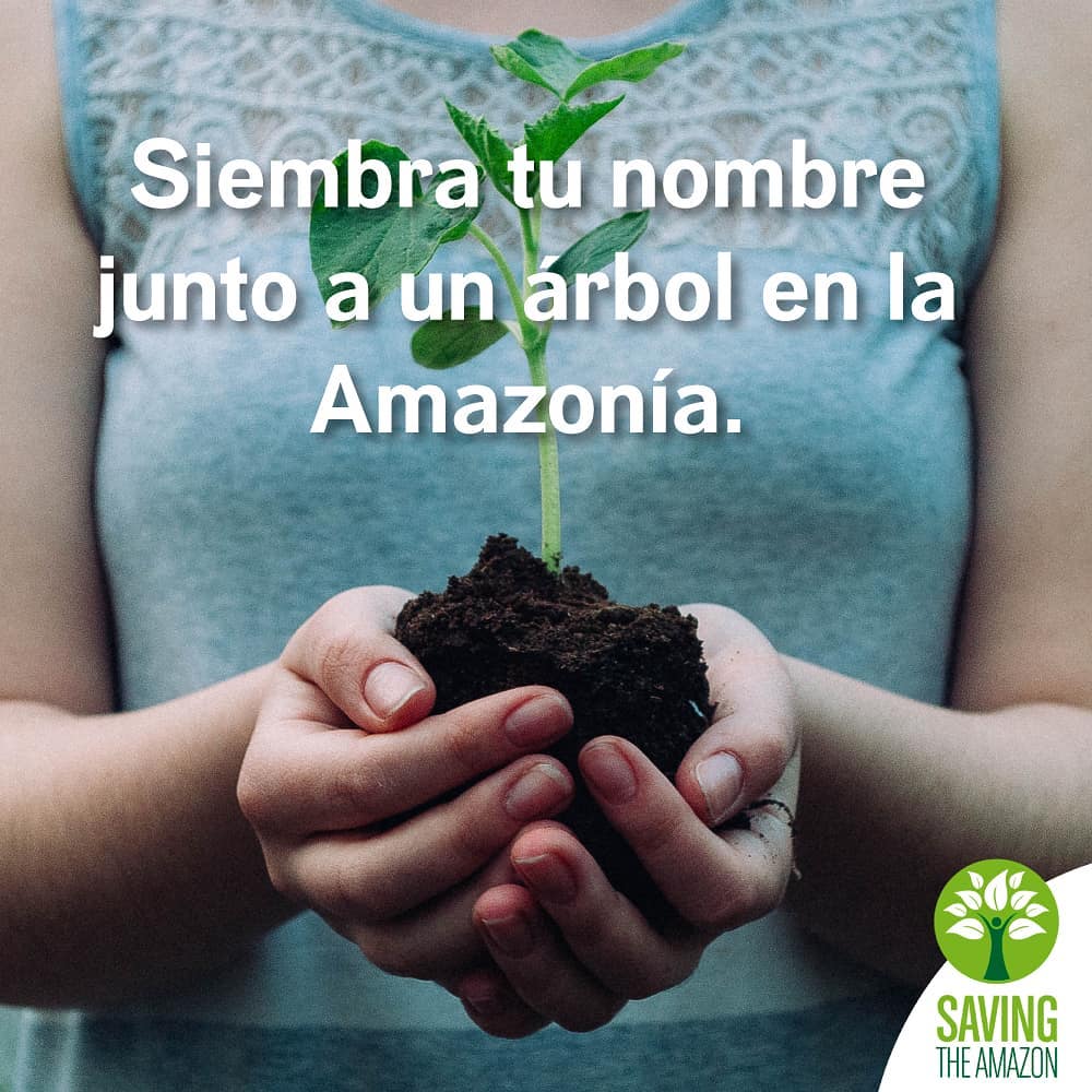 Comenzemos el cambio donando un árbol para reforestar la Amazonía, ingresen a la página savingtheamazon.org y entérense de como poner su granito de arena. <a href="/SavingAmazon/">Saving The Amazon</a>
#SavingtheAmazon 🌻 #PrayForAmazonia 🐵 #PrayForAmazonas 🐢
#AmazonasSOS 🌍
#amazonasenllamas🔥