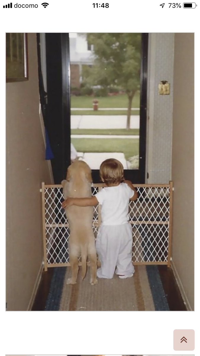 子供が生まれたら犬を飼いなさい 子供が生まれたら犬を飼いなさい