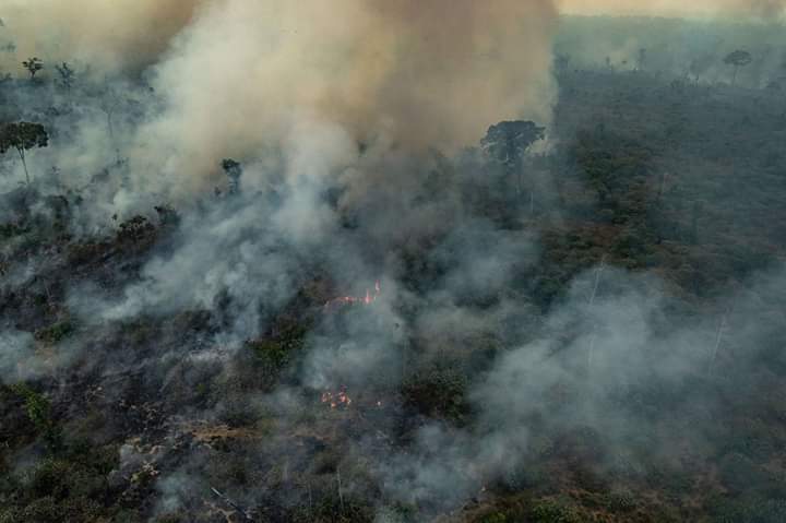 mxmqroo's tweet photo. El cambio climático se puede detener, pero hacen falta gobiernos que tomen medidas de inmediato. https://t.co/P4OIf6ozSv
