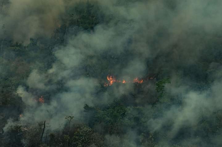 mxmqroo's tweet photo. El cambio climático se puede detener, pero hacen falta gobiernos que tomen medidas de inmediato. https://t.co/P4OIf6ozSv