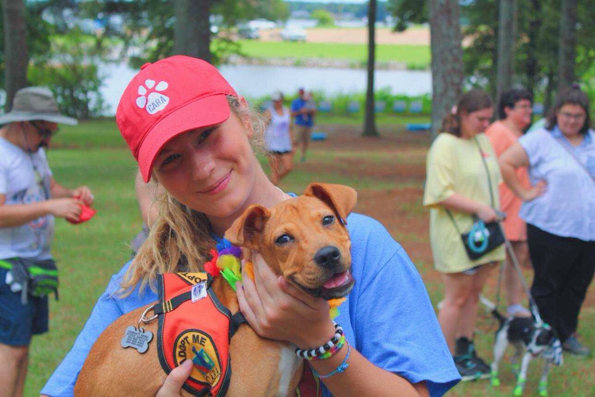 LairdRiely's tweet photo. Loved volunteering at CARAS Dog Days of Summer! CARA is a no-kill shelter in Jackson, MS and they’ve got some of the sweetest dogs up for adoption. Including this little guy right here! Go volunteer, donate or even look for a new bestfriend. I promise you won’t regret it! https://t.co/V7eJvVsrx9