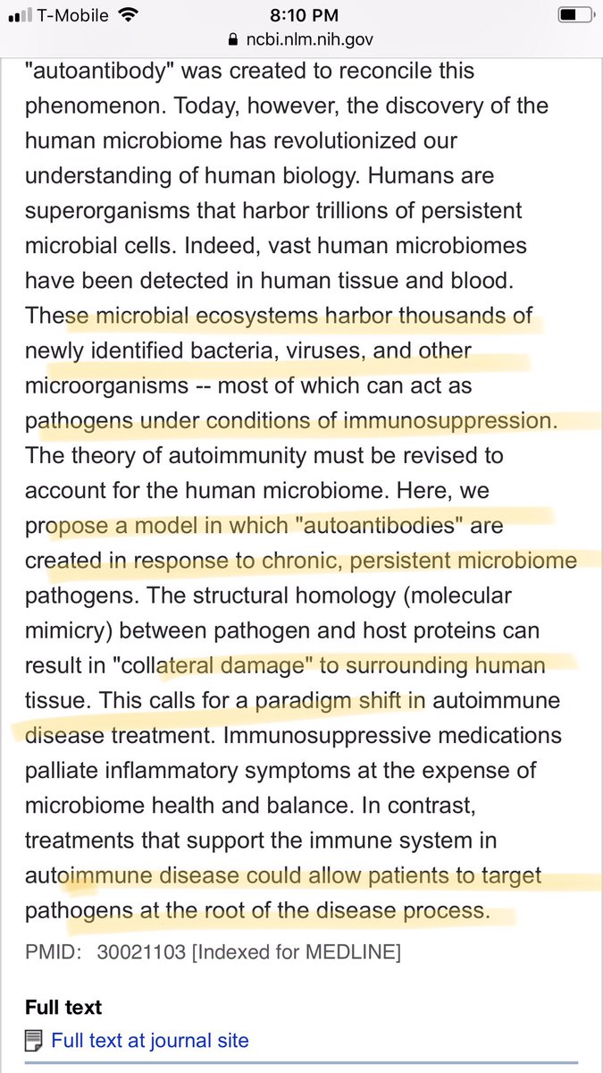 self organization and pattern formation in neuronal systems under conditions of