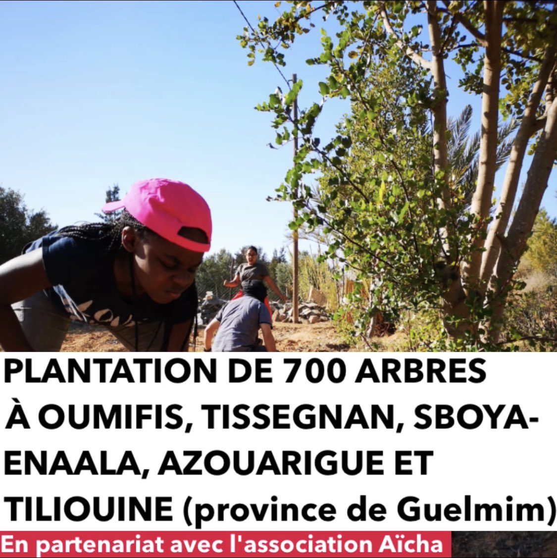 RoadTreeP's tweet image. Bilan du @RoadTreeP Junior au Maroc avec les jeunes de Garges les Gonesse. 
#roadtreep #planterdesarbres