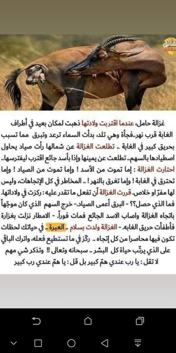 Hassan Ghanem (@hassanghanem14) on Twitter photo 