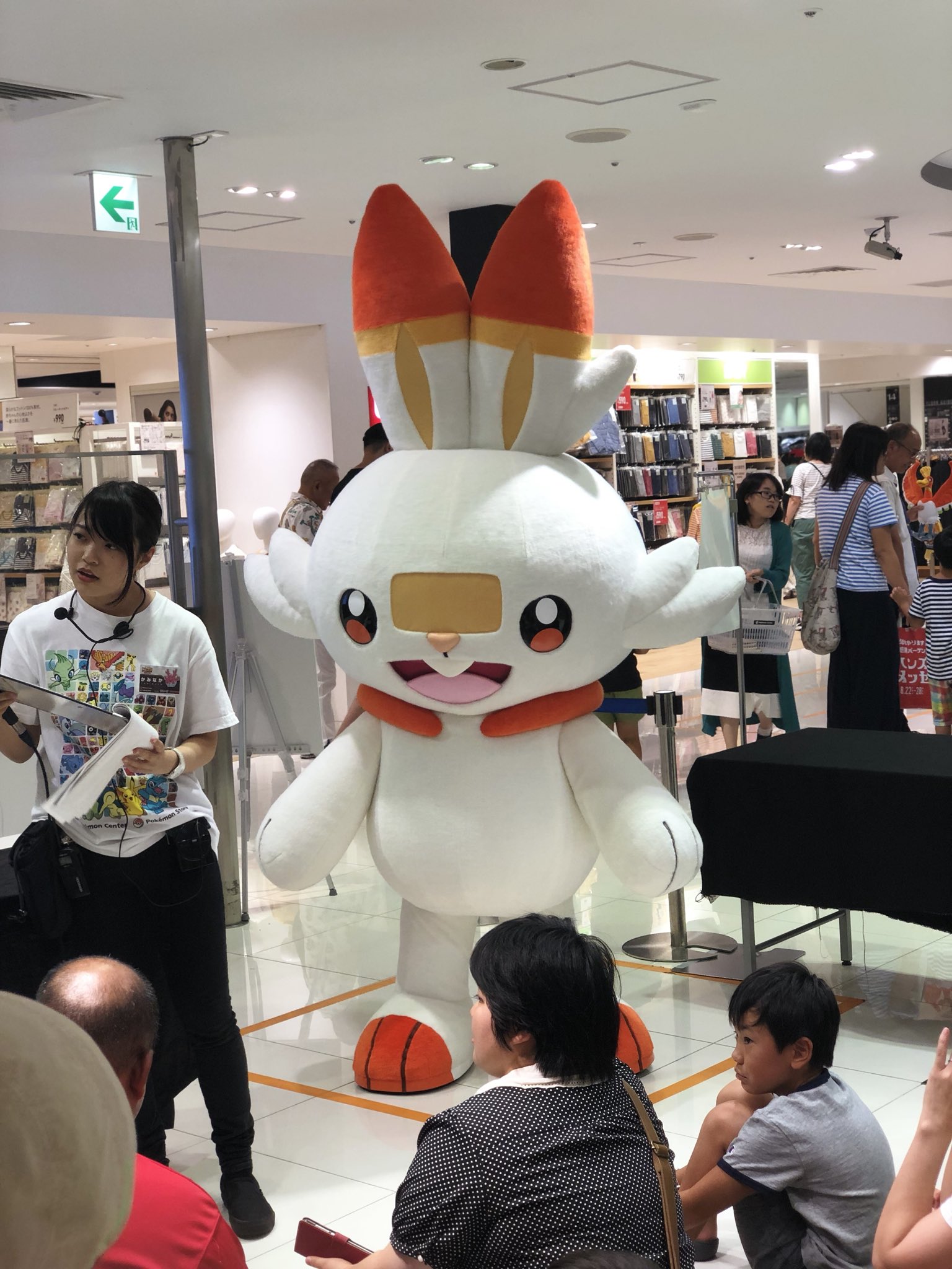 なりさん ポケモンgo専用 ポケモンセンターにヒバニー来てた ポケットモンスターソードシールド ポケモンセンター大阪 ポケモンセンターオーサカdx T Co F2aiw7rrfu Twitter