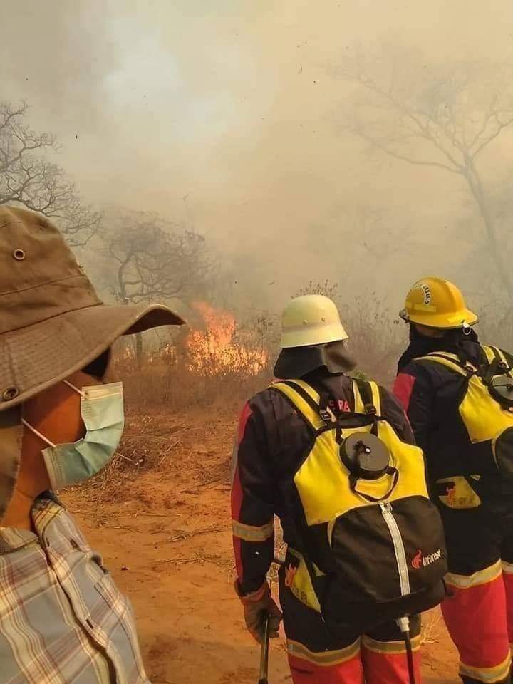 TuongVy291's tweet photo. Thanks you so much. Please, continue to hang the hashtag. ARMY, president Kim NamJoon will proud of us 
#PrayForTheAmazon 
#ARMYHelpThePlanet 
#HelpTheAmazon https://t.co/m0JJMij0V5