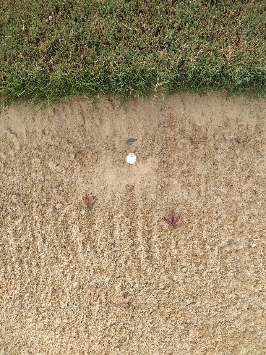 jasonbaseball2's tweet photo. How do you hit the shot? #baddrive #blastoutsideways #triplebogey https://t.co/eNtTt69nQQ