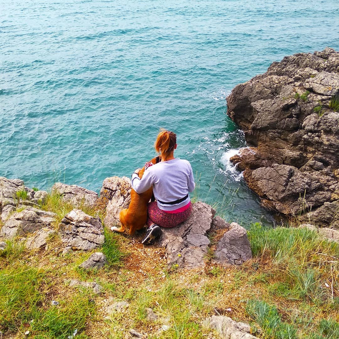 lisaDKeyes's tweet photo. RT
#dogfriends #dog #AndrewLuck #doglover #loveboxer #lovethismoment #lovemydog #lovedog #Miami #boxers #boxer #boxerlove #lovely #boxerdog https://t.co/37hGyJY1z8